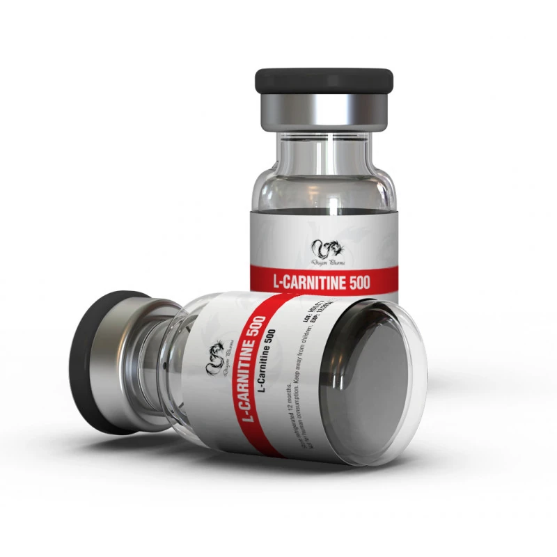 L-CARNITINE 500