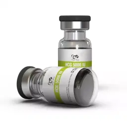 HCG 5000 IU - kit by Dragon Pharma, Europe HCG 5000 IU - kit by Dragon Pharma, Europe