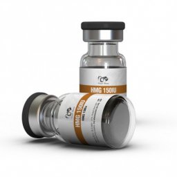 HMG 150IU 150 IU/Vial vial by Dragon Pharma, Europe