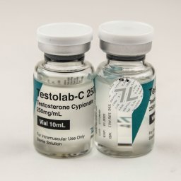 TESTOLAB-C 250