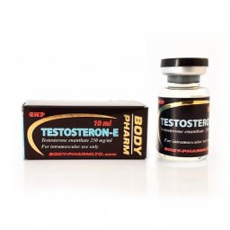 Testosteron-E  kit by 