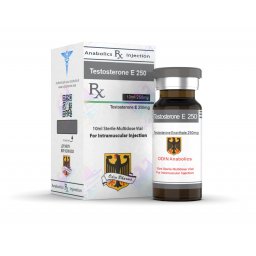 TESTOSTERONE E 250