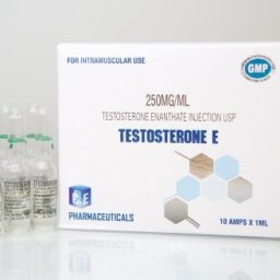 TESTOSTERONE E 250 mg 10 amps by Ice Pharmaceuticals