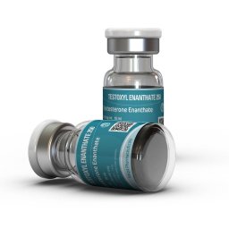 TESTOXYL ENANTHATE 250 250 mg/ml 10 ml by Kalpa Pharmaceuticals LTD, India